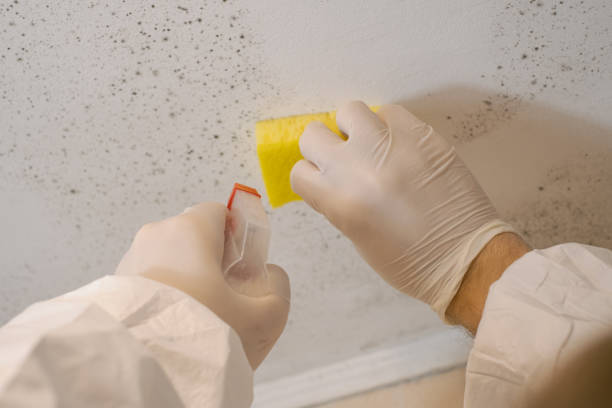 Best Commercial Mold Inspection  in Goodland, KS