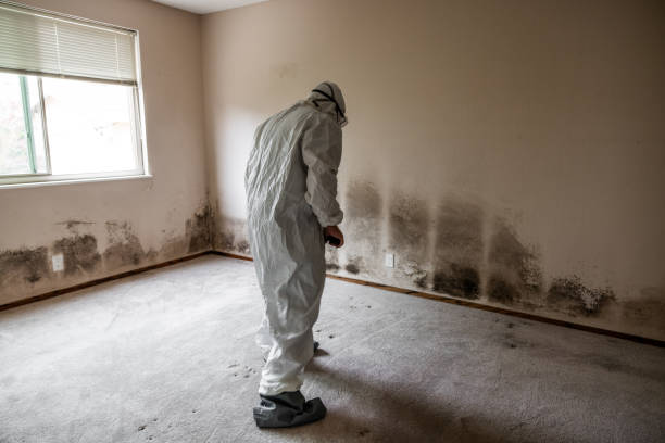 Goodland, KS Mold Inspection, Removal & Remediation Company